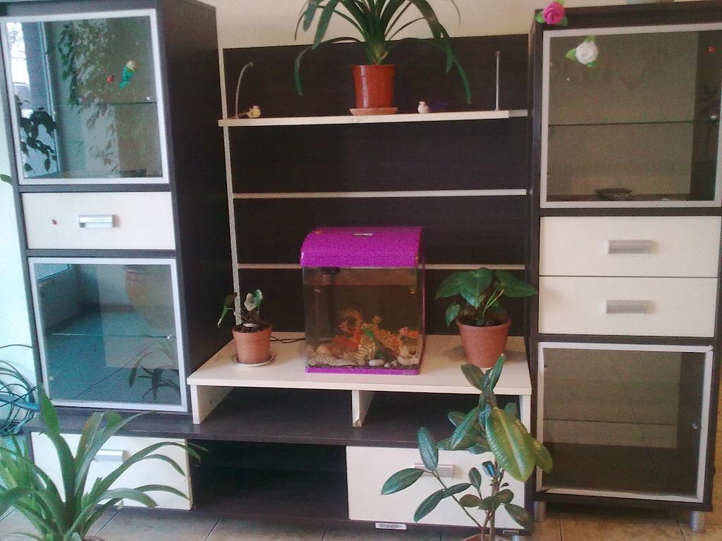 Hostel Raddus-Jss Taşkent Dış mekan fotoğraf